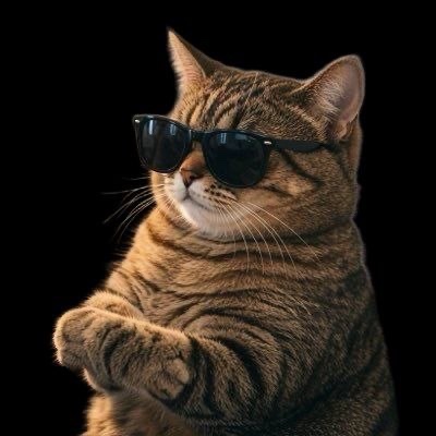 TheUnfazedCat's tweet photo. @PoorGoat_ solana:BkMeTMA8QY3WZ4NFr5spiFedLru7o7yGJ3gUV7tvpump https://t.co/In4ozIW9PQ