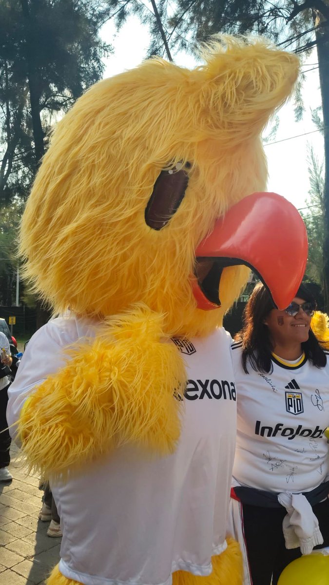 _kims17's tweet photo. Hola soy Kimani mejor conocido como el jefe de la barra blanca de los pollitos CDMX sigo a rivers desde hace rato, me conocen por poner el desmadre en los eventos y así, una vez fui la botarga de pollon, soy admin en el grupo de pollimexas los tqm🤍
#IntegracionPollitos https://t.co/akz6AZtEvS