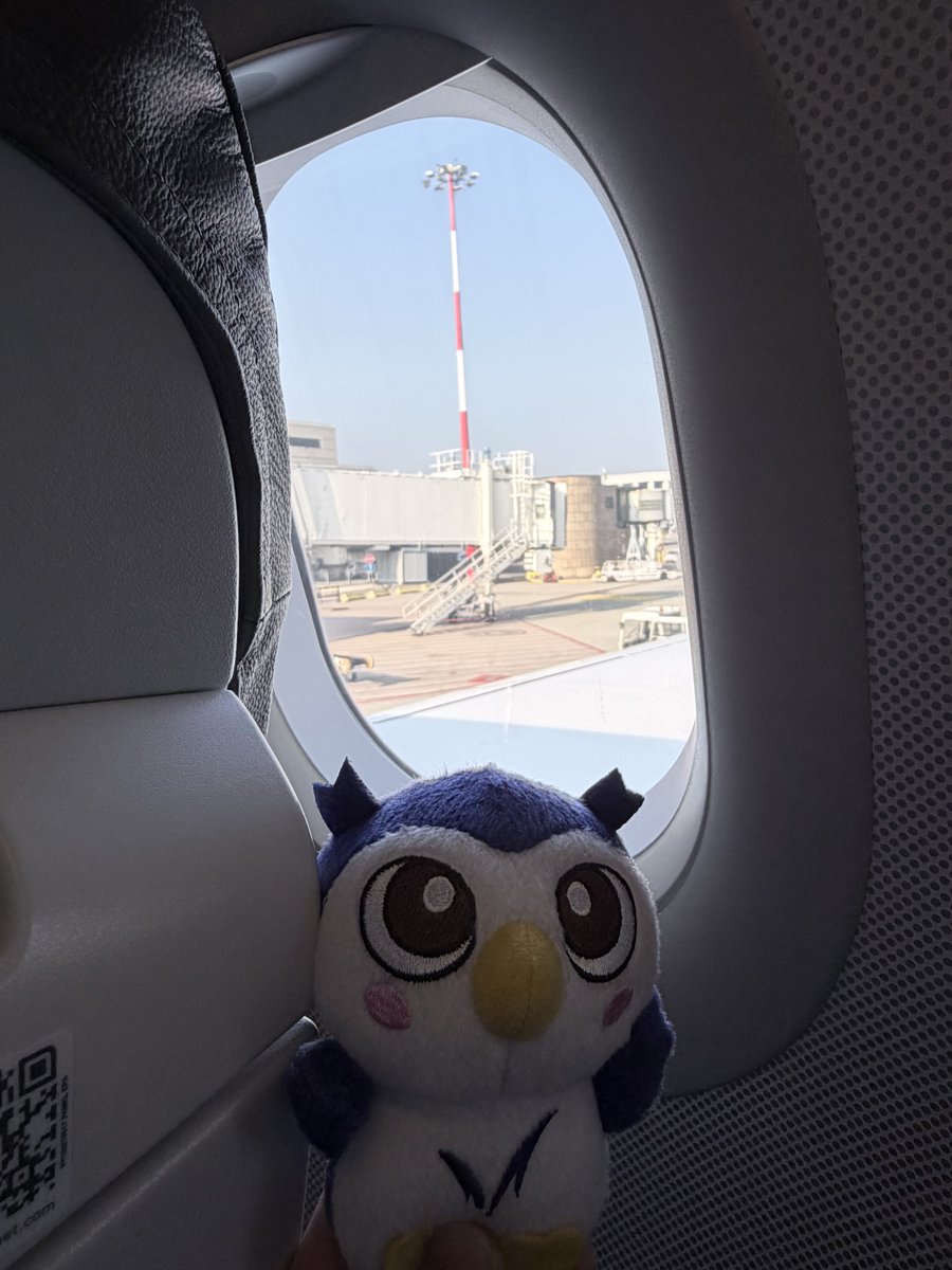 dog_desuwa's tweet photo. ドイツ旅行のめいじろうコレクション https://t.co/Z1OOPeCfVg