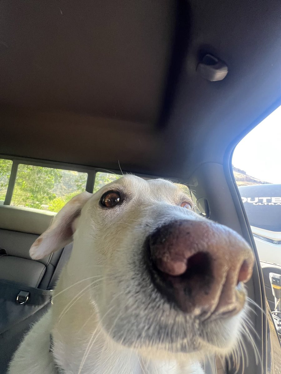 twaniimals's tweet photo. https://t.co/yeHTBtt8ek