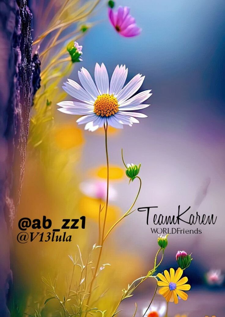 ab_zz1's tweet photo. 🥀@ab_zz1
🥀WORLDFriends ✨ TK14
🥀@V13lula🌷
🥀@Ghz_l4
🥀@riwujin_
🥀@Punj143
🥀@Hurain_5
🥀@pro13022025
🥀@Towncryer101
🥀@sd_1236
🥀@2guscr
🥀@mrha5_
🥀@MzKhr
🥀@fr_f33
🥀@1rasif
🥀@y11j3
🥀@A_tta4
🥀@B_utt3
🥀@a_yzai
🥀@IHN92
🥀@Q_R_T_
🥀@siiyall
🥀@Ni_11vw
🥀@matyhir
🥀@immrk_x
🥀@SN_786S
🥀@zubisjd2
🥀@myr5913
🥀@a__bd26
🥀@11_Elyza
🥀@a_nila123
🥀@Ujala4us
🥀@itx__aysel
🥀@Khuxhbu1
🥀@SARSDGs
🥀@Abs36821
🥀@Faree6767
🥀@nekopia01
🥀@Gorge_254
🥀@khan21678
🥀@Joko_Khobo
🥀@alphazeem
🥀@chirfanali6
🥀@s4sawairaa
🥀@Abidpmln98
🥀@NebraskaCindy
🥀@JAMESCALLISTU2
🥀@y11j7 @y11j9 @y11j2