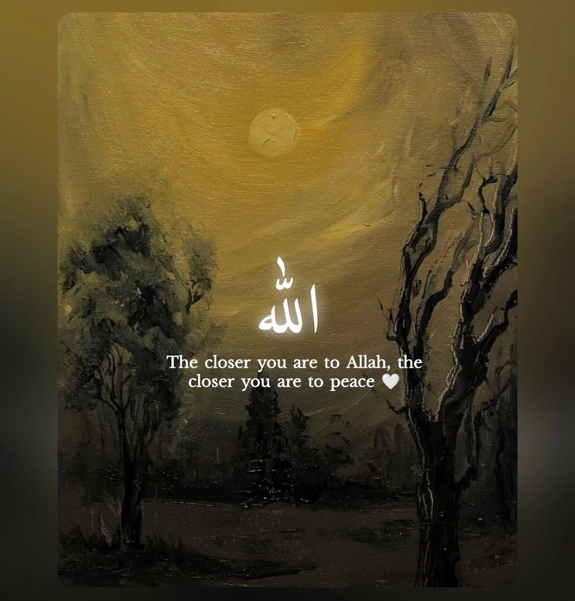 mohammedarsha18's tweet photo. https://t.co/SjFxLan5wV