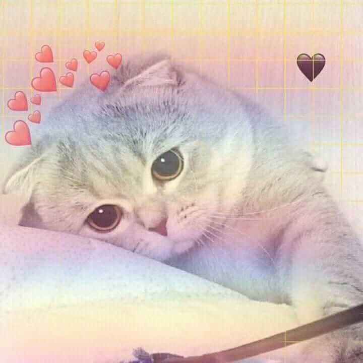 JIMSLASH's tweet photo. My heart is filled with hope for a brighter future. https://t.co/VLoUALP0XB