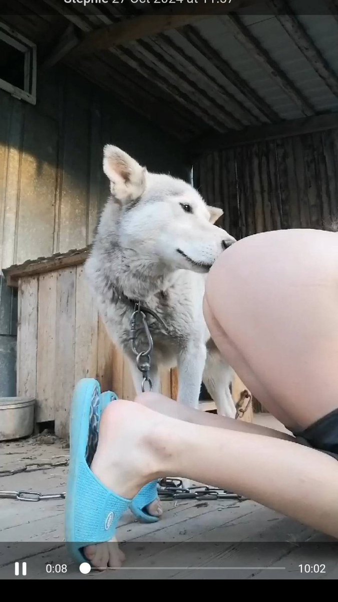 Jenahazeknotty's tweet photo. Zoo model who gives pleasure to her dogs because she likes it so much dog!
TELEGRAM https://t.co/p4hqgPjb44

#zoophillia #zoosarevalid #beastiality #dogknot #zooprideisvalid #zoophile
#antizoo #antizoophileantizoo #k9girl
#zoopride
#zoophilepride #zoopositivity https://t.co/gDyPUj98vn