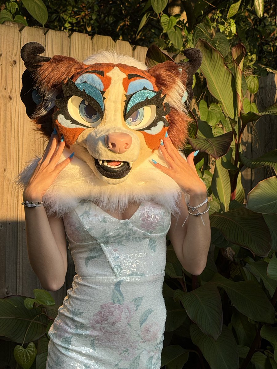 Nekoyoo_'s tweet photo. Ever seen a Pomeranian in a dress? 🤍
Well now you have! 

#furry #furryfandom https://t.co/pFafoDmUUX