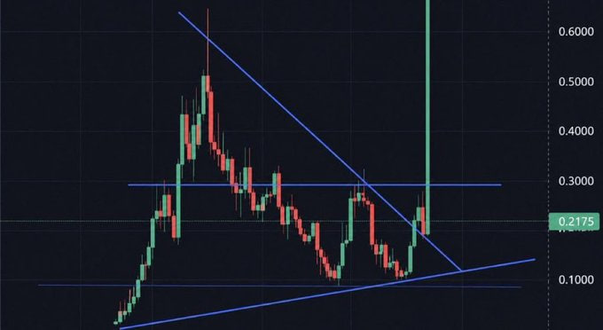 xolo100x's tweet photo. This will run higher than $CATE

This will run higher than $JIMOTHY

This will run higher than $ANSEM

This will run higher than $CASHCAT

Will you fade me? https://t.co/NCucE5NbRn
