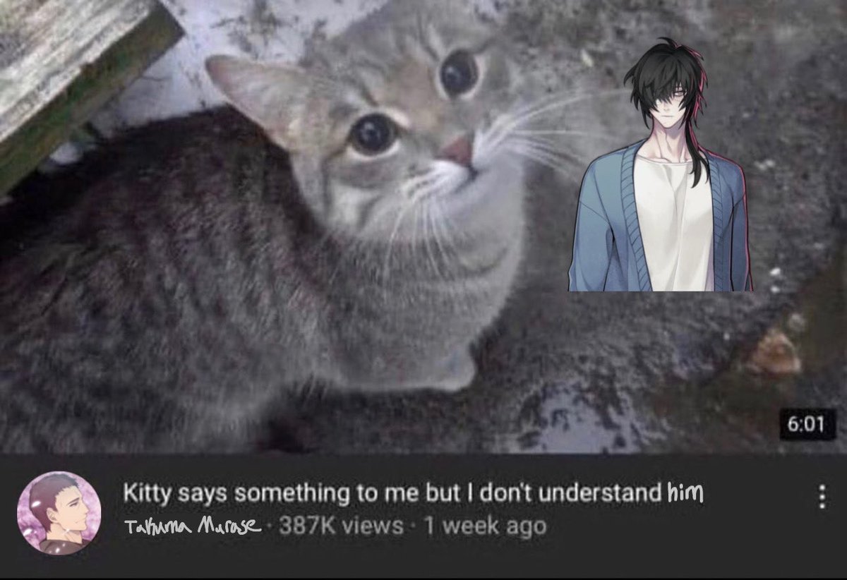 noiaobas's tweet photo. i wanted to draw towa as the cat but i cannot draw so i did this instead https://t.co/nALRvw3D5Y