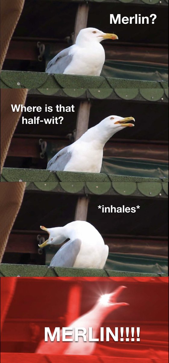 MerlinHumor's tweet photo. Nobody:

Arthur: https://t.co/rbYMQSC7K4
