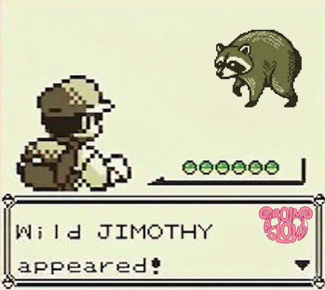 Nassbabe15038's tweet photo. @solana @friskk Jimothy Pokémon card would be there ?!?? https://t.co/WJj90pjDEj