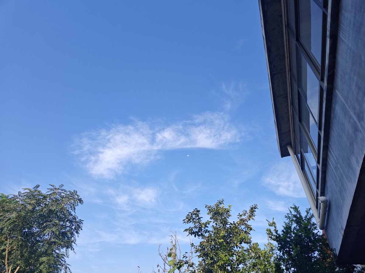 LeeShengan's tweet photo. A wonderful blue sky https://t.co/lLFVYHtaMB
