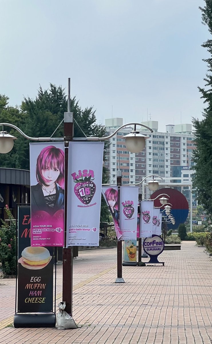 Nobb_Sue's tweet photo. アジアツアー全6公演🎥
お疲れ様でした🙇‍♂️🎥
今回のアジアツアーは今までのアジアで一番熱かったし暑かった！
ファイナルのソウル。ほんとライブハウスでした🔥
ありがとうございました🙇‍♂️春のアリーナツアーからこれでまだ15は折り返しすらしてないなんて…笑
次は9月のUK, EU！✈️

#LiSA15th 
#LiSA_ASiATOUR2026 

Next stop
Milan, Italy!!!