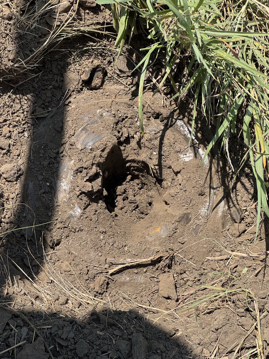 HomeNectarFTW's tweet photo. My truck said it was 108 degrees today. I don’t know if thats accurate or not, but it was very hot. 

I had to get my sign up on my clients land that we have listed for sale. Grateful my Dad came out to help me get this done.

Texas’ clay soils don’t play. 

10 acres in Valley View for $39,000/acre, thats a great price.