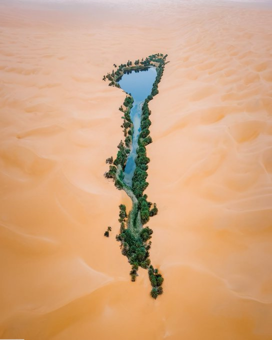 TTendenciaX's tweet photo. "Paraíso":
Porque una imagen aérea del lago Maftoe reveló un oasis escondido en el desierto del Sahara. https://t.co/zQPy4dSIQz