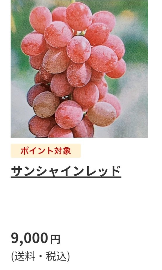 si3048's tweet photo. 全国の郵便局に置いてあるこのカタログに掲載しております
｢夏のおいしい！をつめこみました！｣を検索でネットからご注文できます
商品ラインナップはXとは違いますけど https://t.co/6xuDNSWxkM