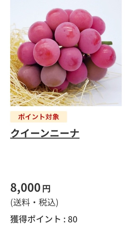 si3048's tweet photo. 全国の郵便局に置いてあるこのカタログに掲載しております
｢夏のおいしい！をつめこみました！｣を検索でネットからご注文できます
商品ラインナップはXとは違いますけど https://t.co/6xuDNSWxkM