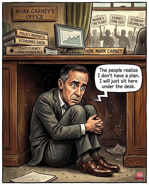 pete_porcupine's tweet photo. https://t.co/x1jhVejAoP