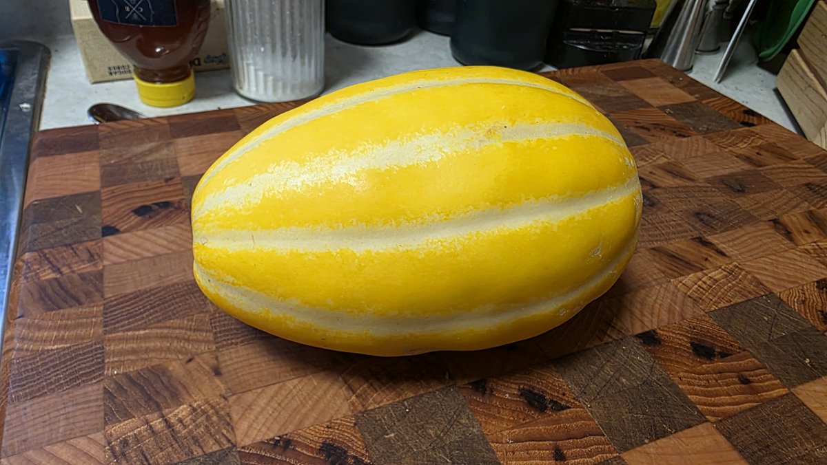 Wislander's tweet photo. First homegrown Korean Yellow melon of the year. Somehow they always seem to taste sweeter than the store bought ones. #homegrown #koreanmelon #homegarden https://t.co/DCiP0QggTE