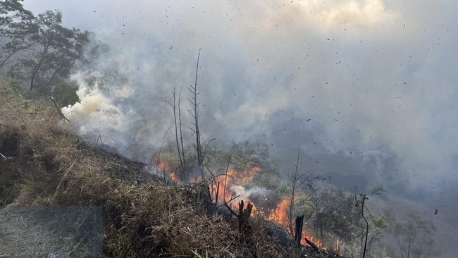 e100ss's tweet photo. #SSInfo: Kebakaran hutan dan lahan terjadi di Blok Bantengan kawasan Gunung Bromo, pada Senin (3/8/2026) sore. Akibatnya, tiga akses masuk wisata ditutup, yakni Jemplang dan Coban Trisula di Kabupaten Malang, serta Senduro di Kabupaten Lumajang. Penutupan tiga akses masuk tersebut berlaku hingga waktu yang belum ditentukan. (ss-ji)
Foto: CNN Indonesia