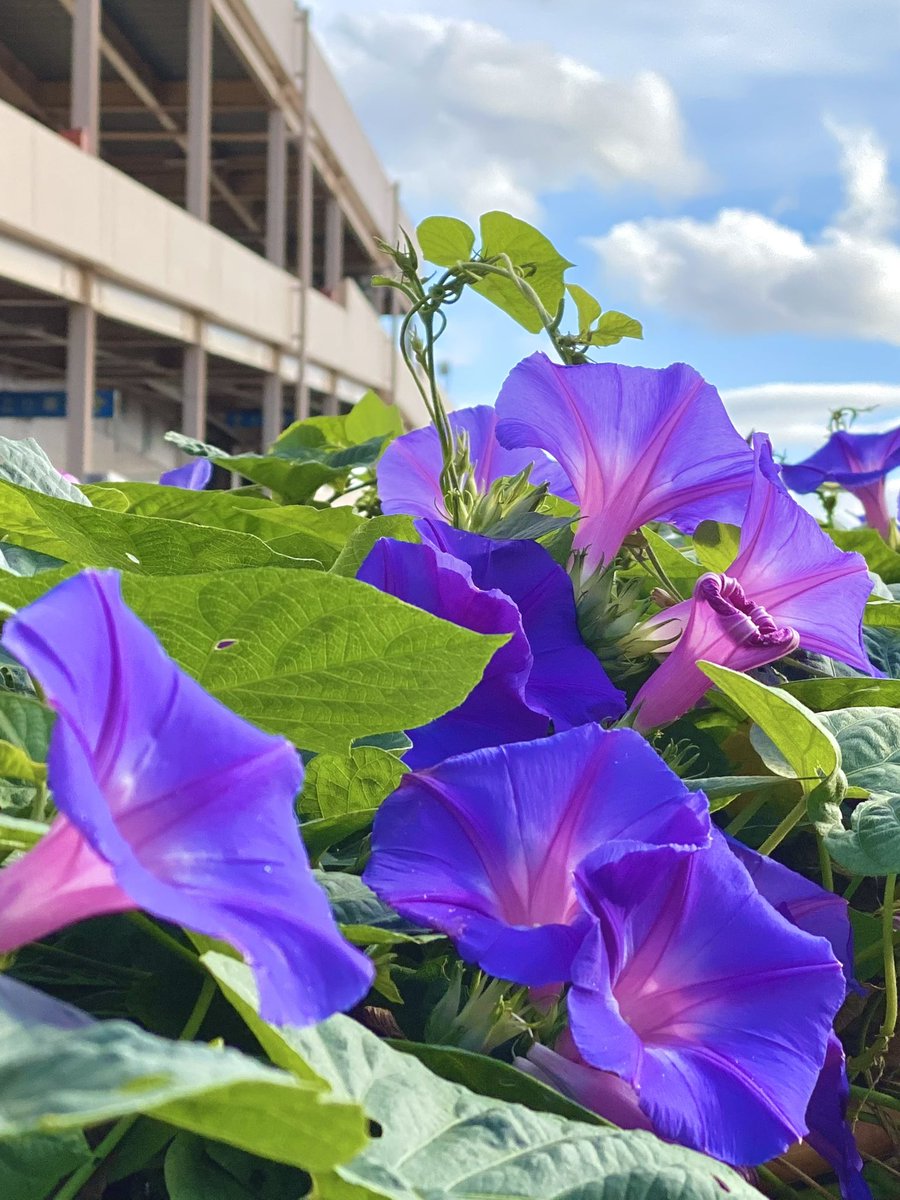 おはようございます🌤 遅ればせながら😅 今週も宜しくお願いします