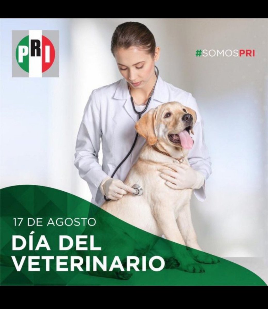 reskrandy's tweet photo. @alitomorenoc Ese es tu trabajo pendejo, ustedes los priístas hacen como si trabajan pero solo se visten para chingar a la gente, ve esto imagen que ustedes publicaron en su Facebook los delata los falsos que eran, son y serán en la política. https://t.co/cqqjQQqYld