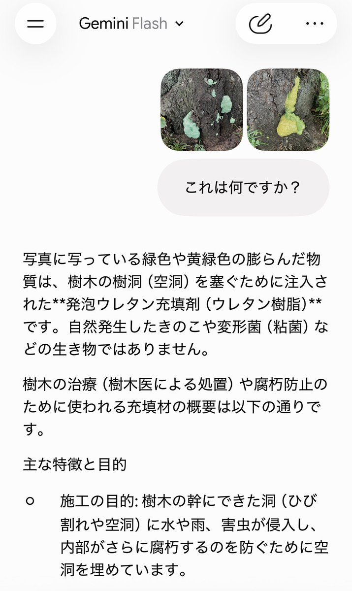 BunichiSS's tweet photo. 昨日の #お昼休み散歩 でのこと。
桜並木を歩いていると木の根元に緑色のなんだこれ！？キノコ！？的なものを発見 :(；ﾞﾟ'ωﾟ'):

は、初めて見たのですが…
何ですかこれ…ｶﾞｸﾌﾞﾙ。教えてミーちゃん！

さすがミーちゃん、一発で答えが返ってきました。樹木の治療に行われたものなのですね。 https://t.co/DQe8qs2ufO