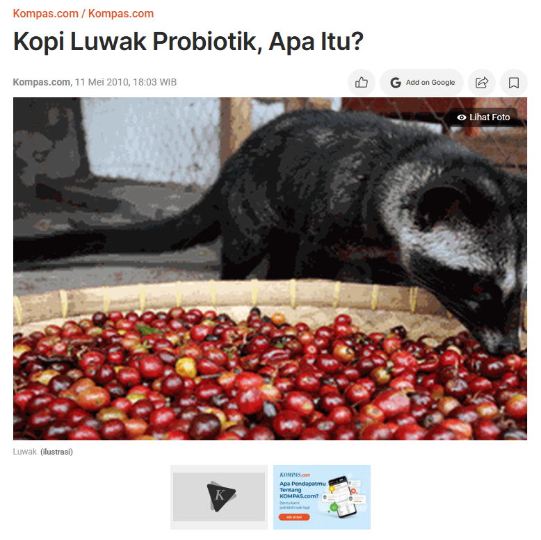 aqfiazfan's tweet photo. Kegelisahan soal najis ini sebetulnya menginisiasi riset keren peneliti ini bikin kopi luwak Probiotik yg buat kopi luwak tanpa harus dimakan luwak - diganti jadi fermentasi kayak bikin Tempe. Ya namanya Indonesia, riset bagus begini sama pemerintah malah gak dimanfaatkan 🙃 https://t.co/6HfQWbuf2p