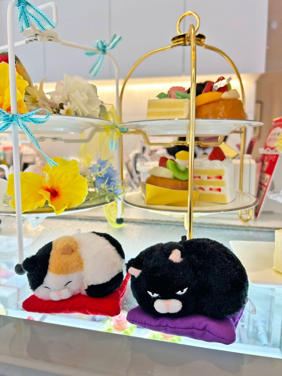 ❣️ぬぐるみまとめ売り❣️ アミューズ AMUFUN【公式】 (@AMUSE_japan) / Posts / X