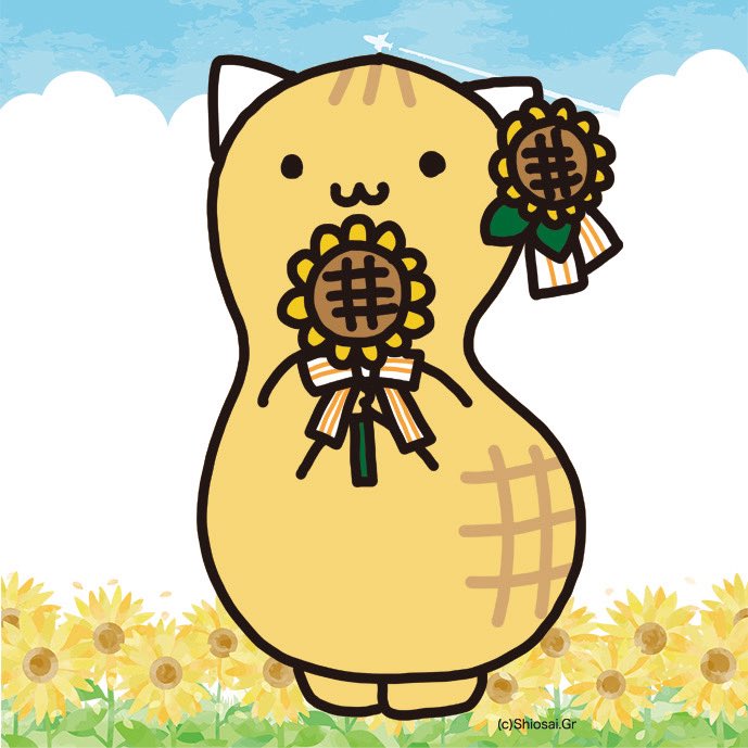 p_nyattu_chiba's tweet photo. 暑くて元気な陽の光を浴びて元気に育ったひまわりにゃっつ٩🌻ว=͟͞
にゃっつもひまわりみたいに大きくなりたいにゃ～ฅ^-𖥦-^ฅ✨️ https://t.co/GXpVkYgrkS