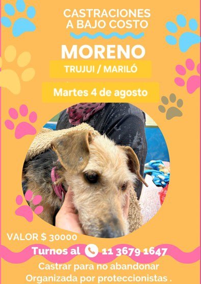 protegealanimal's tweet photo. MORENO
#MORENO #AURORA #LASCATONAS #SANJORGE #MARILÓ #JARDINES1 #LAPERLITA #SAMBRIZZI #ELCAÑÓN #LASFLORES #SANTABRÍGIDA #PASODELREY #MIRASOLES #TRUJUI #LAREJA #RIFIFI #MIBARRIO #CUARTELV #LAREJA #VILLASALAS #LASLILAS #BARRIOPARQUE #FCOÁLVAREZ #ZONAOESTE #GRANBSAS #BSAS #CONURBANO https://t.co/QPinUMo8Nd