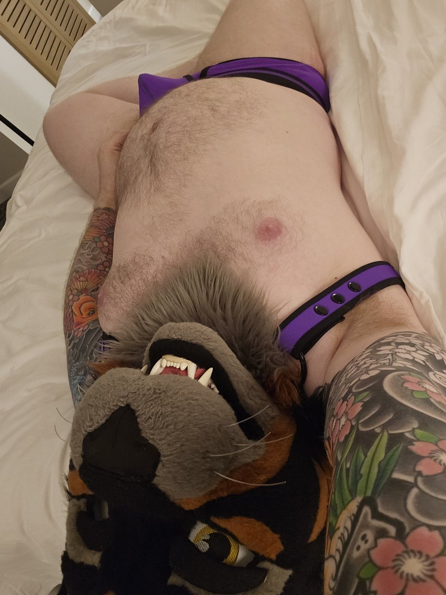 TifexAD's tweet photo. Who's this tiger gonna see at FD this weekend ~ https://t.co/HpTYDOXHDV