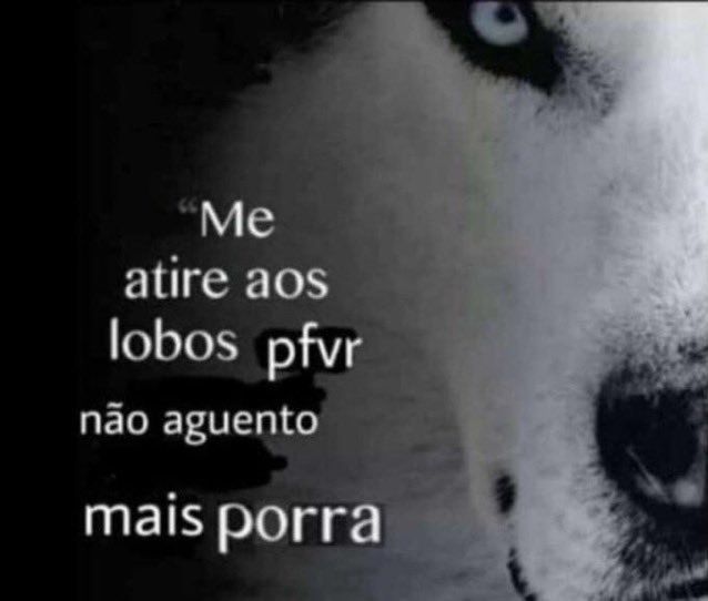 jpeg_memez's tweet photo. https://t.co/YpdkrBGeUd