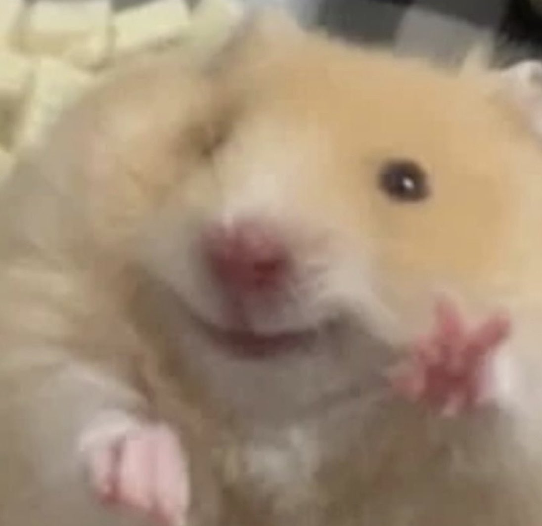 umm_hamster's tweet photo. https://t.co/xoIbxqEcgG