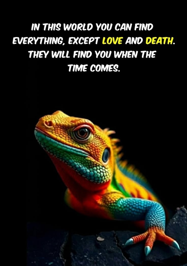 GoldWisdomh's tweet photo. Some things in life are never found by chasing them. https://t.co/3pQHDofT44