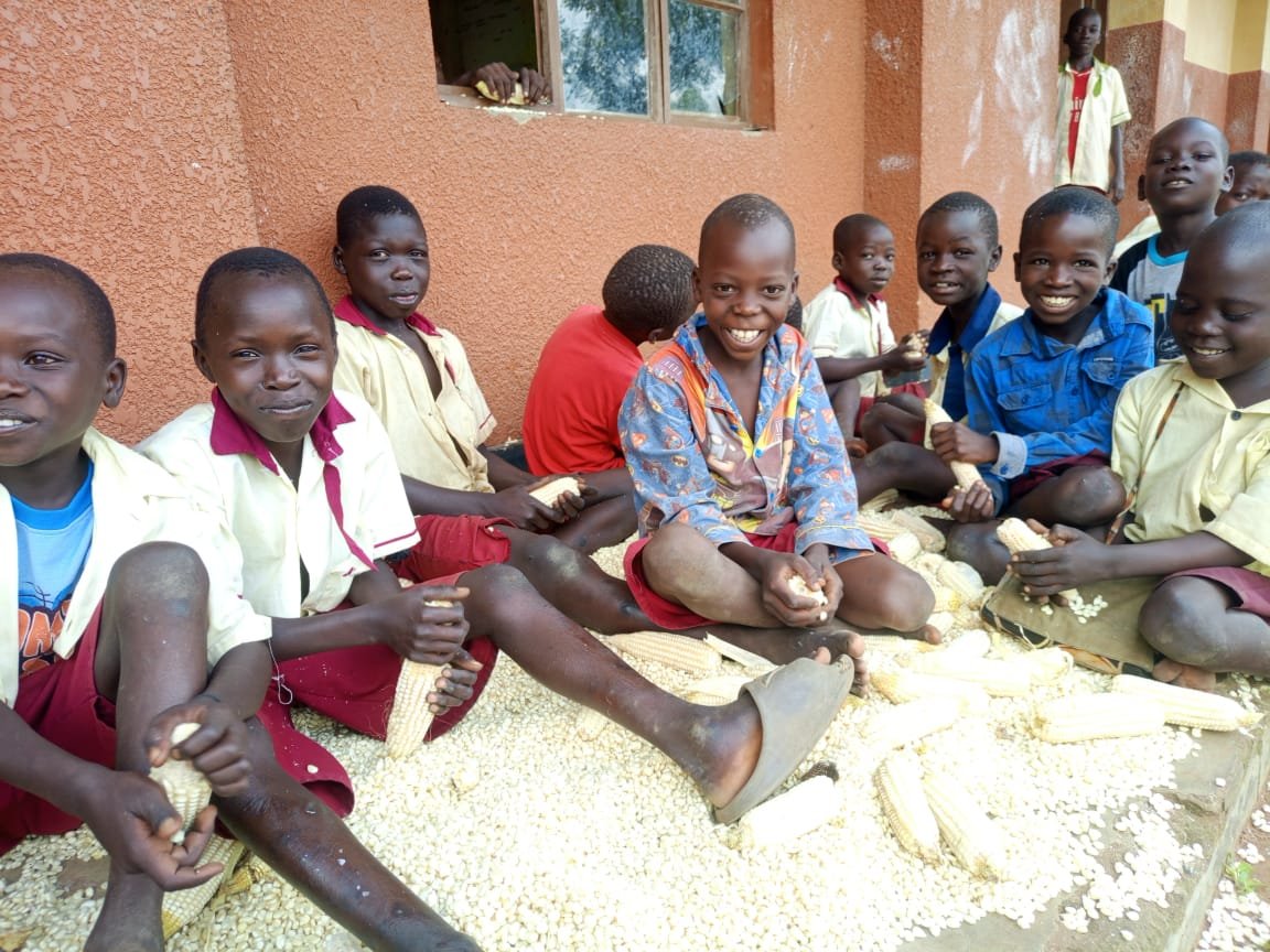cciug's tweet photo. Pure joy fills the air as pupils celebrate a bountiful maize harvest from the school garden initiative. The children are loving every moment of seeing their seeds
This abundant maize harvest directly supports school feeding programs,
thanks to #suyanafoundation for the support https://t.co/T1rriN2qr0
