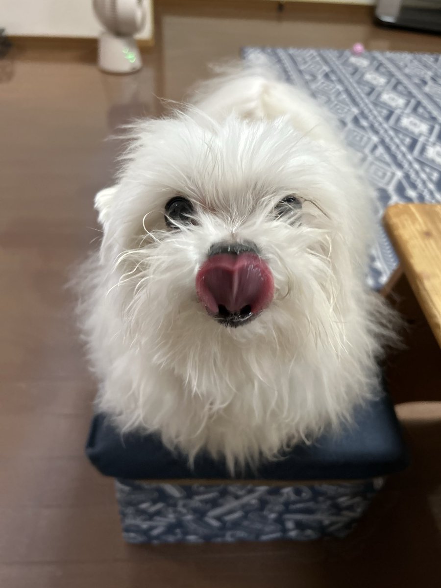 9Z8lquSv8B3FMpN's tweet photo. ハートをどうぞです https://t.co/lN17mQWIuq