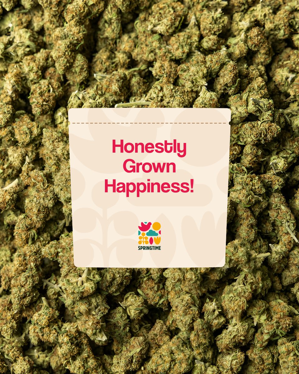 thespringtimeco's tweet photo. Let good times take root! Every unforgettable memory starts with one simple choice.
.
.
.
.
Good Times, Positive Vibes, Happiness, Good Vibes Only, Create Memories, Springtime https://t.co/uzBuUzanBC