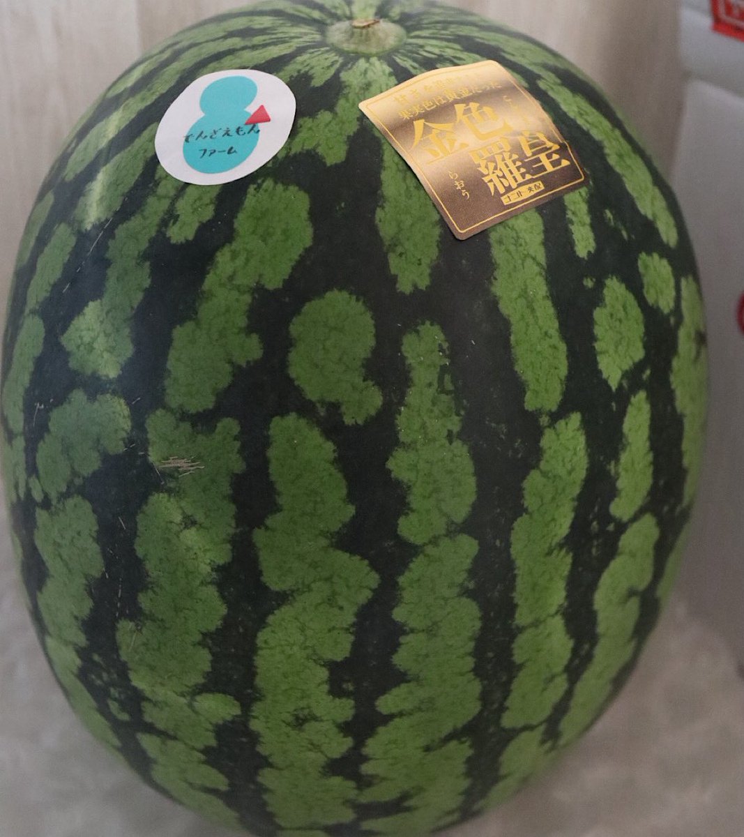 MaiH1215's tweet photo. でんざえもんファーム(@denzenfarm )さまから🎁
💛🍉金色羅皇💛プレゼント
企画に当選🙌🏻✨
とーーーっても大きな金色羅皇🍉が届きました🥰
初の金色のスイカに家族みんな大興奮💛
まな板も隠れるほどのサイズ感✨
今まで食べた事がないスイカの甘さにびっくり🤭
種も少なく✌🏻とっても美味しかったです🫶🏻💕