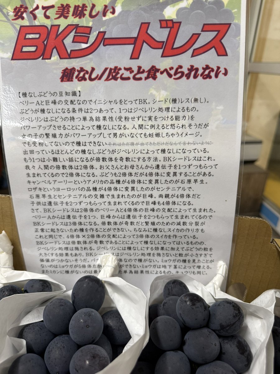 yaokenGAMES's tweet photo. ぶどうのシステム解説が長すぎて誰も読んでくれない俺の販促POPの出番か https://t.co/OeVXbZn0dj