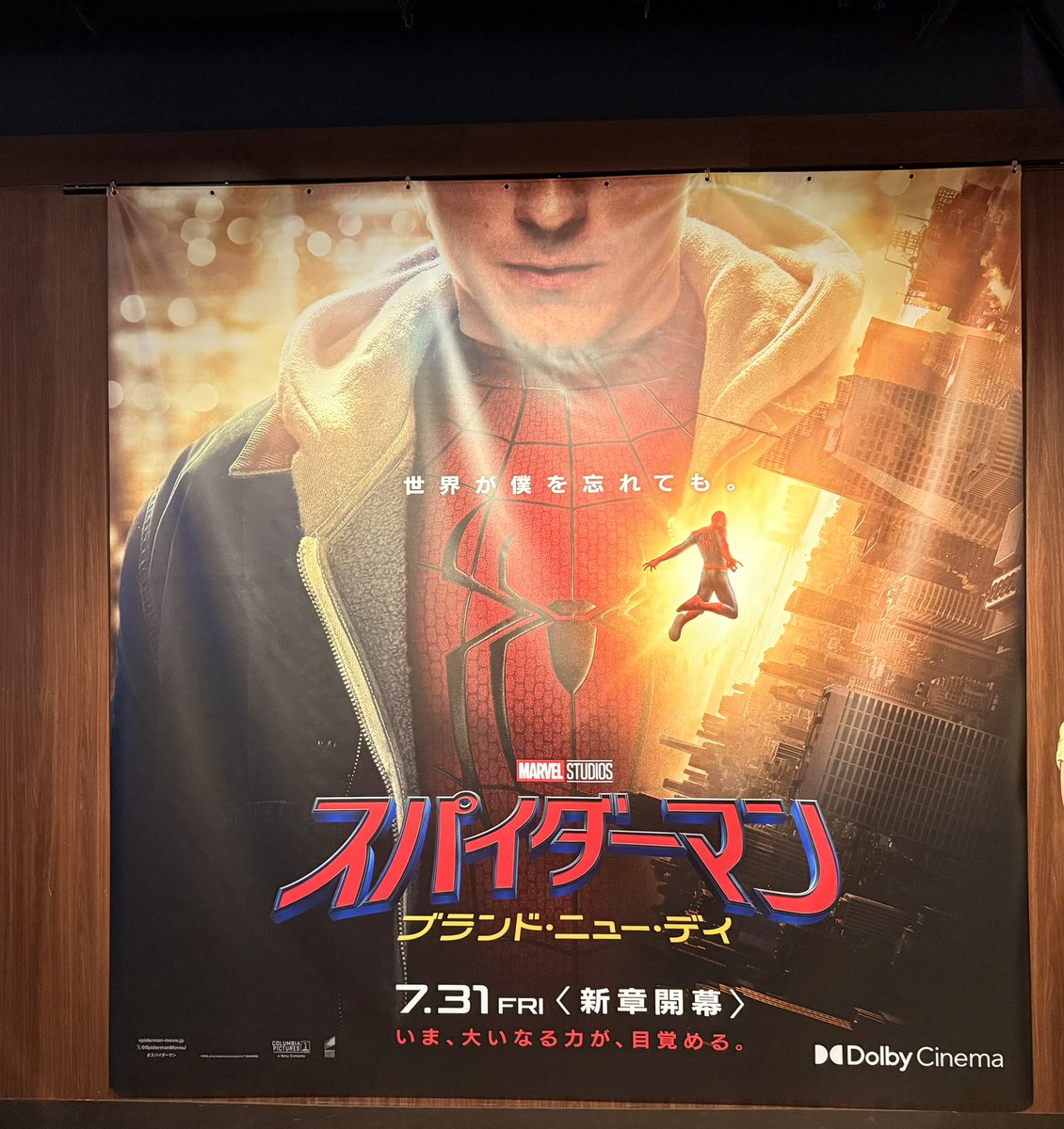 dog37wy's tweet photo. スパイダーマン面白かった〜 https://t.co/9fM5mCe0a4