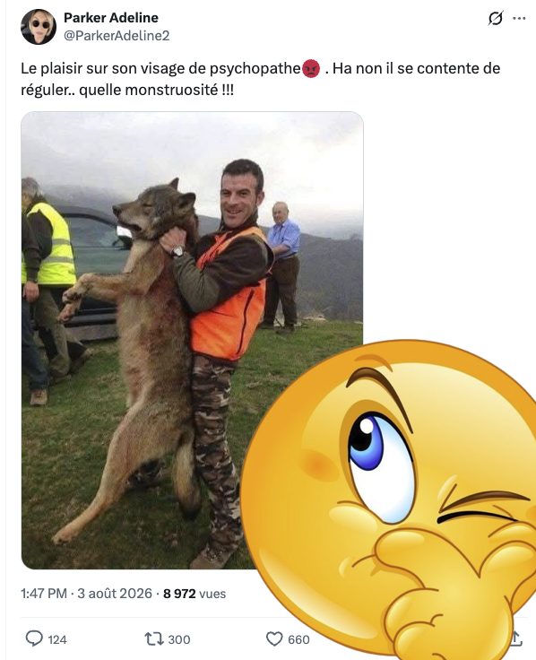 FrancAller_info's tweet photo. Connaissez-vous l'histoire de ce #loup, les gens ?
Il a été abattu en avril 2014, en #Espagne, au Pays Basque. Après 2 mois d'attaques répétées sur les troupeaux, entraînant des coûts de plus 3 000 €/semaine pour les #éleveurs.
Aucune autorisation de tir de loup n'y avait été donnée depuis 3 ans. Cette espèce n'y était ni classée chassable, ni chassée. Elle ne faisait l'objet que d'autorisations de battues administratives ou de tirs de défense de l'#élevage au cas par cas.
Après l'abrogation du classement national du loup en protection stricte imposé par Madrid en 2021-2025, le gouvernement basque a écarté la possibilité de rendre l'espèce chassable.
Son plan de gestion n'autorise que des prélèvements dérogatoires très encadrés, face à la hausse des attaques de troupeaux.
En juin 2026, l'état de conservation du loup est classé "favorable" en Espagne, avec au moins 333 meutes. Une hausse de 12,1 % en dix ans.
Si vous pouviez nous lâcher la grappe, les Marie-Clitorine #antichasse ?
Merci.
En savoir plus : Los ganaderos de Carranza, atemorizados tras los ataques de lobos,
➡️ https://t.co/Nhmbd4l6Rp
➡️ Una batida acaba con un lobo en Carranza tras dos meses de ataques al ganado,
https://t.co/wk0XqwEGsD
* Les zozos bobos twittos animalistes : https://t.co/LWeA0XoQxa