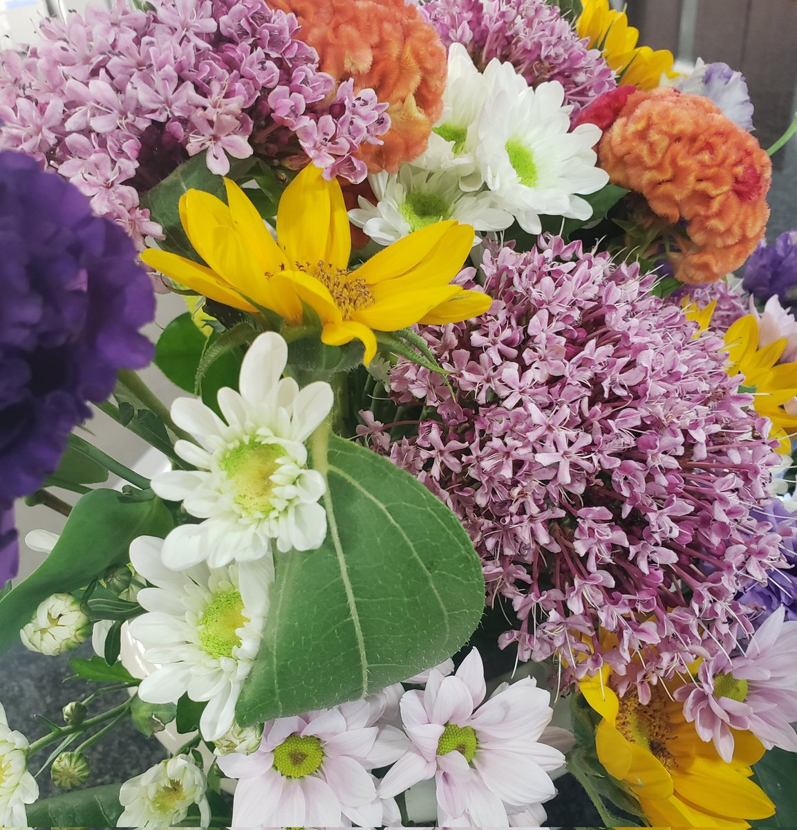 yamami200611's tweet photo. 会社の受付の花🌼～😻
香り強め～😻 https://t.co/9Oh0MCfdZ4