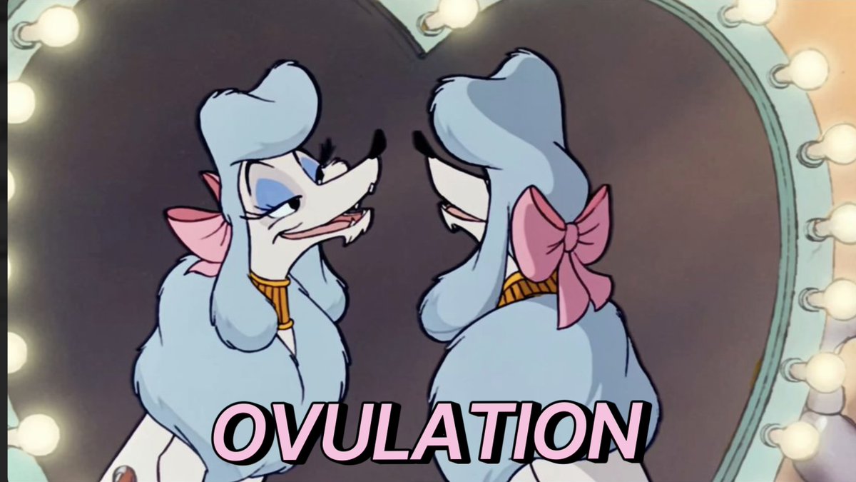 thestrangedeity's tweet photo. just girly things https://t.co/P6njemDQH7