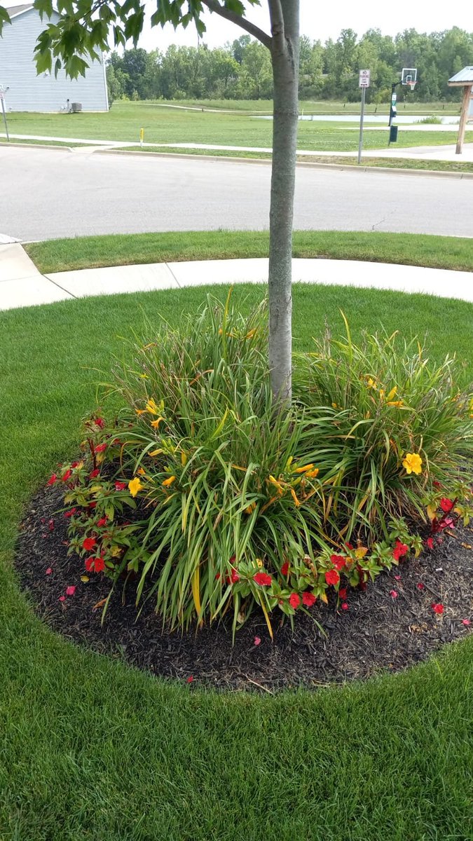 Smommy_hea's tweet photo. Nice garden 😘❤️💐 https://t.co/W4MsqgKoWh