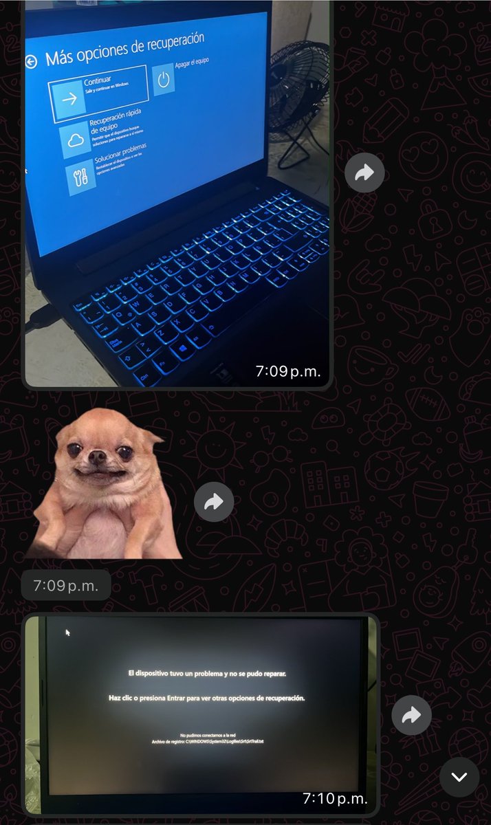 kurirkdz's tweet photo. mi computadora en la mañana, mi hermano en la tarde, ari en la noche. Voy a poner mi local. https://t.co/LvDKteGLrU