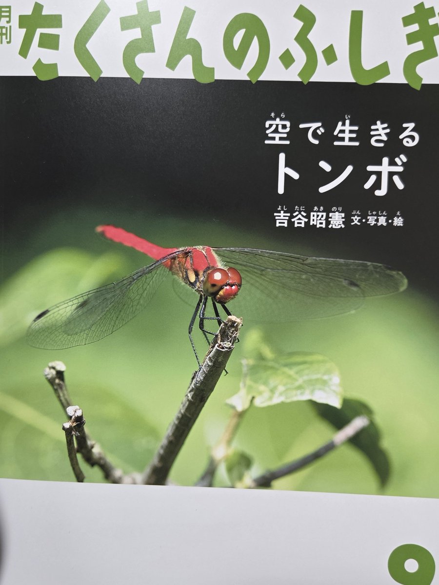 ms06toko's tweet photo. 帰りに無事ゲット！！！
よき❤
お嬢が読み終わったらゆっくり読む！

あと本屋さんにおいてあったんだけど、これ気になる👀✨
昆虫検定だって😁
うーん、JAM搬入前日だし受けられない...か？

 #たくさんのふしぎ  #トンボ https://t.co/s5e4p1PYo2