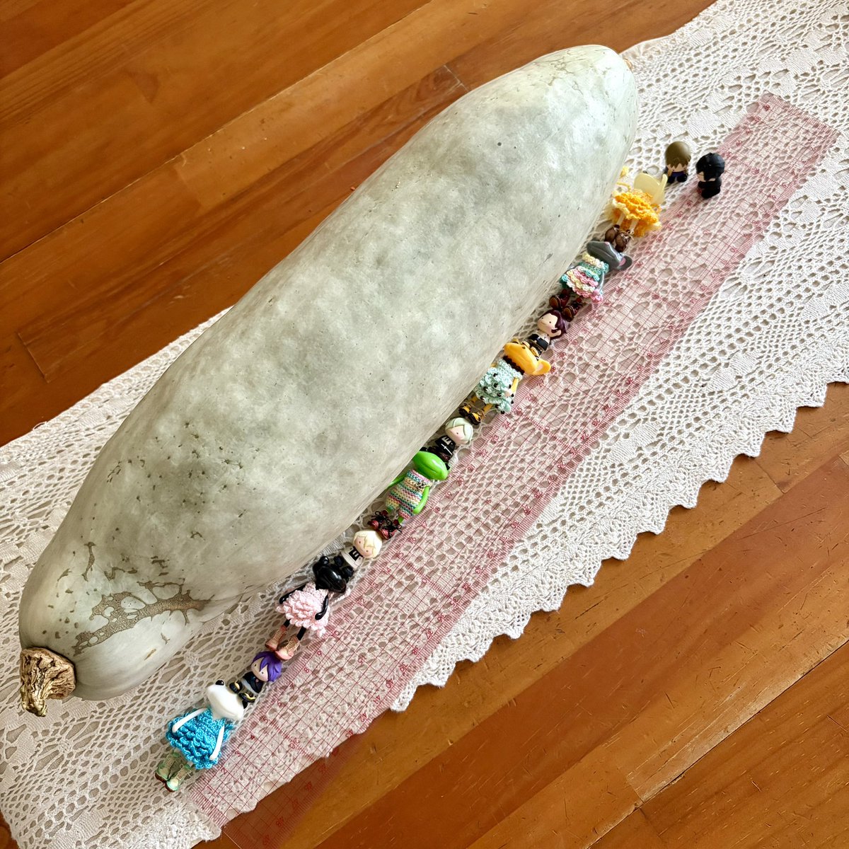 maamii9281's tweet photo. ステラさん🐸
髭切🗡️
膝丸🗡️
「暑中お見舞い申し上げます☀️」

届いたかぼちゃはとっても長ーい♪
サイズはなんと！

🐸🐭🐱🗡️
「6フォーチュン4お豆男士✨」

#TAKA嫁劇場 https://t.co/KDbpiFweM1
