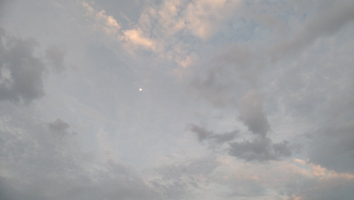 yuto1039's tweet photo. 爽やかな風、28℃
あれもこれもと思いながら半日過ぎた、
「まあいいか」こんな日も😌 https://t.co/yCSODzKlE6