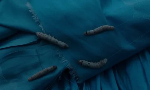 pomegrainate's tweet photo. Just watched #TheUglyStepsister. What a ride 🤭 https://t.co/X1Hz6qlM8t