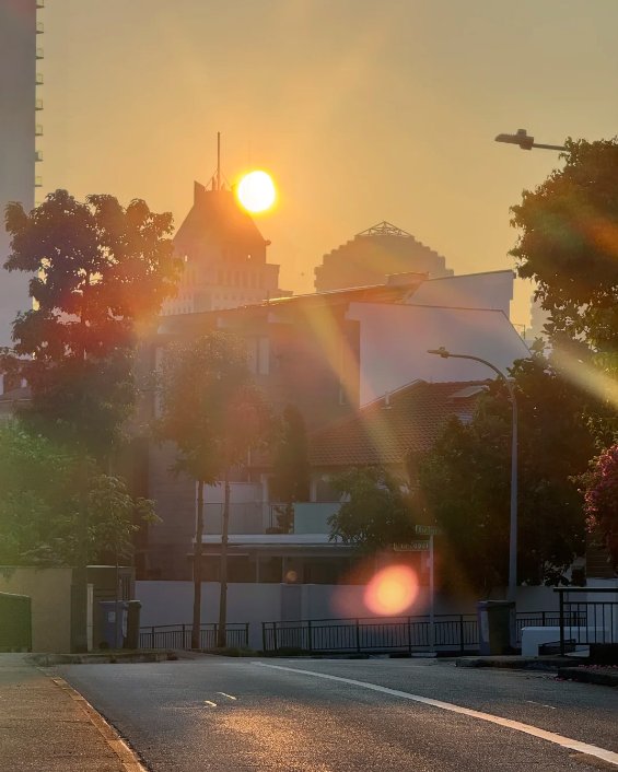 Limyi90's tweet photo. The first rays of sunlight in the morning!☀️ https://t.co/AnVG9W58VA