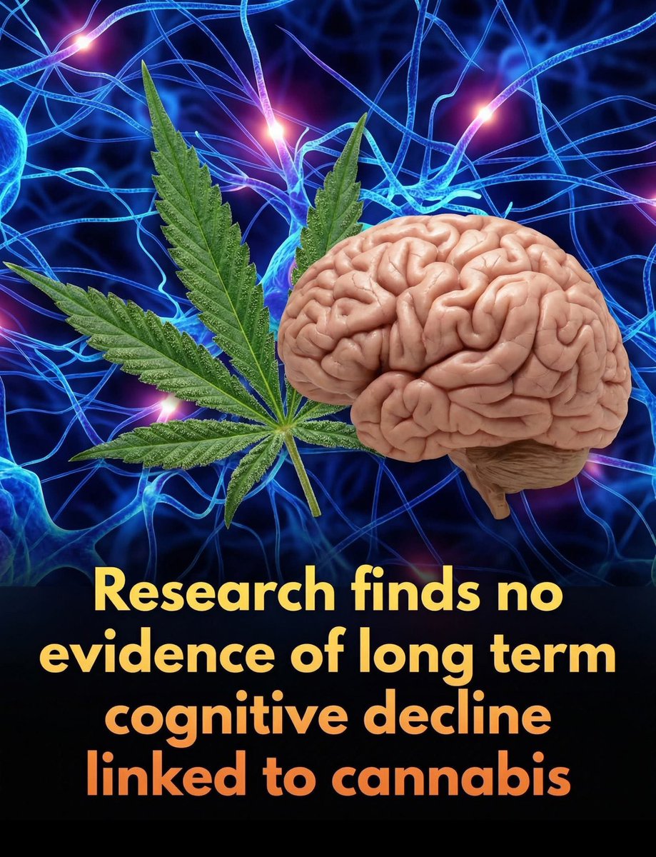 ShiningScience's tweet photo. 🚨 Massive 44-year study reveals that long-term cannabis use does not accelerate cognitive decline.

It debunks long-held myths about the drug’s impact on brain aging.

For decades, concerns over the long-term cognitive effects of cannabis have fueled public health warnings, yet a comprehensive 44-year study from Denmark is now challenging those assumptions. Researchers tracked more than 5,000 men from early adulthood into their mid-sixties, comparing intelligence scores recorded at age 20 to follow-up assessments at age 64. The results, published in the journal Brain and Behavior, found no evidence that cannabis use accelerates cognitive decline. In a surprising twist, those with a history of use actually showed a marginally smaller decrease in IQ points—approximately 1.3 points less—than their non-using counterparts, effectively questioning the notion that the drug inevitably impairs long-term mental acuity.

While the findings are striking, experts note that lifestyle factors and 'cognitive reserve' may play a significant role in these outcomes. The study revealed that cannabis users in this cohort often possessed higher baseline IQs and education levels, which are known to influence cognitive resilience. Crucially, the researchers discovered that neither the frequency of use nor the age at which an individual started using the substance significantly impacted their intelligence later in life. Although the study was limited to men and relied on self-reported data, it provides some of the most robust longitudinal evidence to date that past cannabis use does not inherently doom the aging brain to a faster decline.

Source: Christensen, T. W., Mortensen, E. L., & Osler, M.. Cannabis use and change in intelligence from age 20 to 64: A 44-year follow-up of 5,162 Danish men. Brain and Behavior.